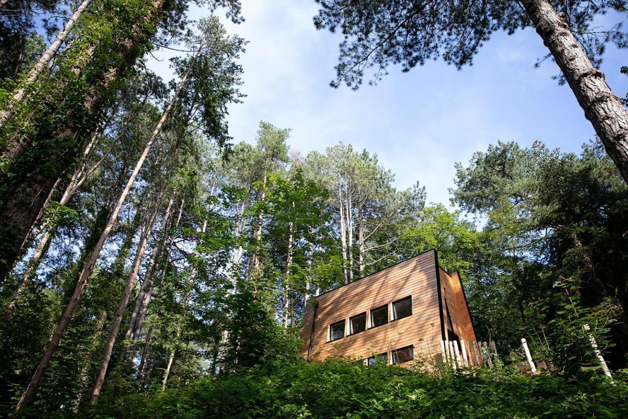 Bain De Foret - Lodges Cosy & Spa Neufchâtel-Hardelot المظهر الخارجي الصورة