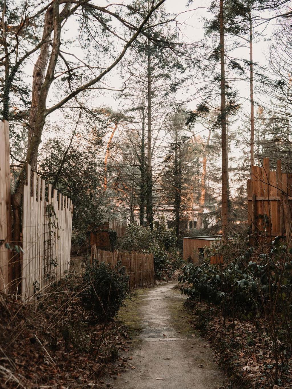 Bain De Foret - Lodges Cosy & Spa Neufchâtel-Hardelot الغرفة الصورة