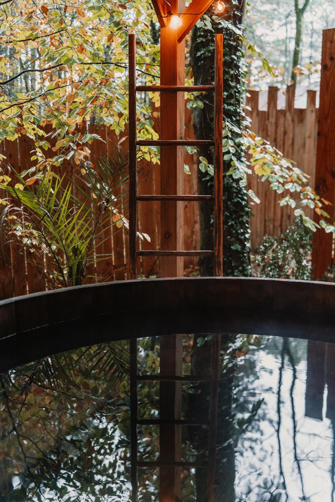 Bain De Foret - Lodges Cosy & Spa Neufchâtel-Hardelot الغرفة الصورة