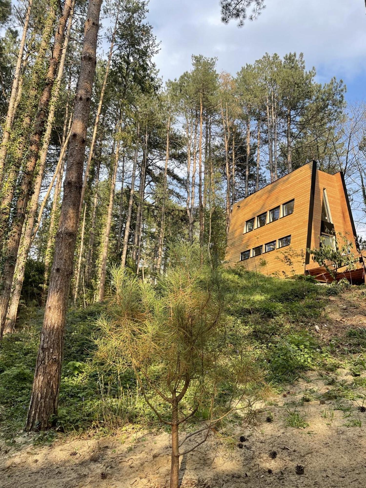 Bain De Foret - Lodges Cosy & Spa Neufchâtel-Hardelot الغرفة الصورة